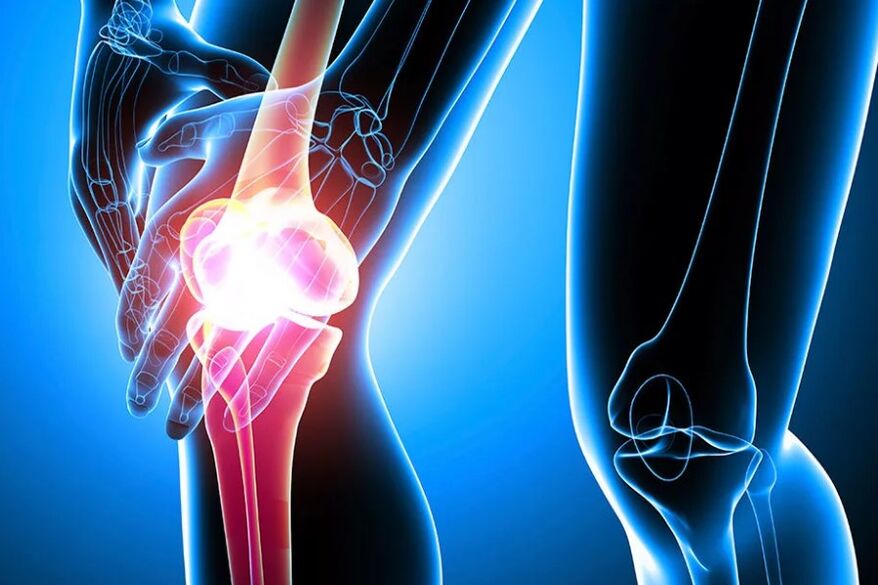 Knee joint